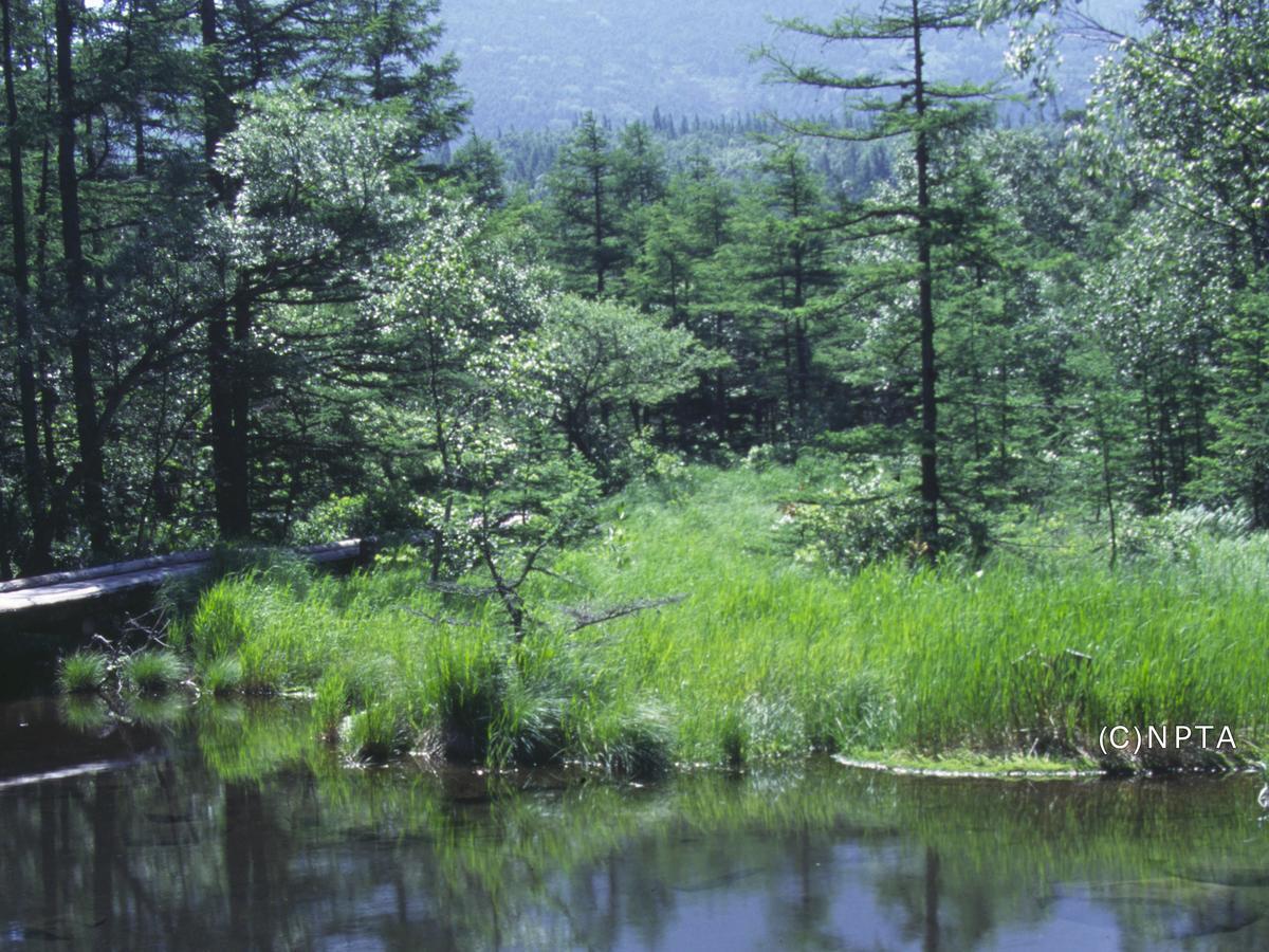 Le Grand Kyu Karuizawa Hotel Buitenkant foto